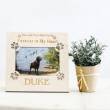 Dog Memorial Personalised Photo Frame